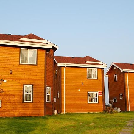 Sweetsalt Villa Seogwipo Ngoại thất bức ảnh